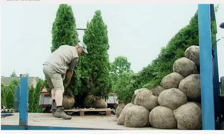 transport-plantinavia