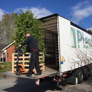 Transport Plantinavia