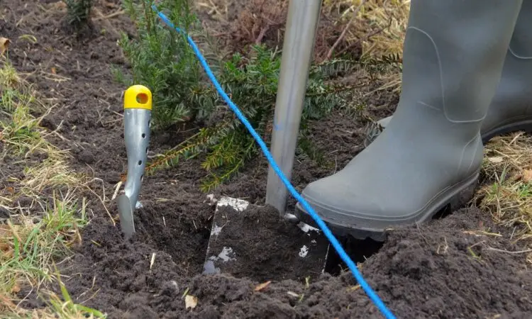 Person som gräver ett hål för att plantera häck