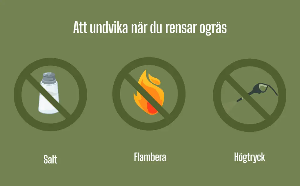 Att undvika när du rensar ogräs