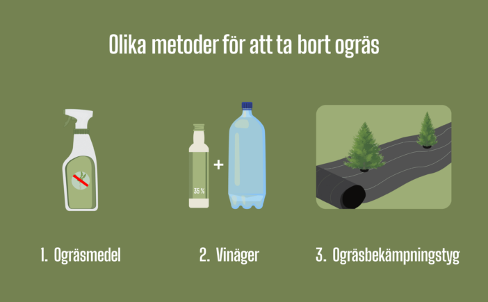 rensa-ogr-s-olika-metoder-f-r-att-ta-bort-ogr-s
