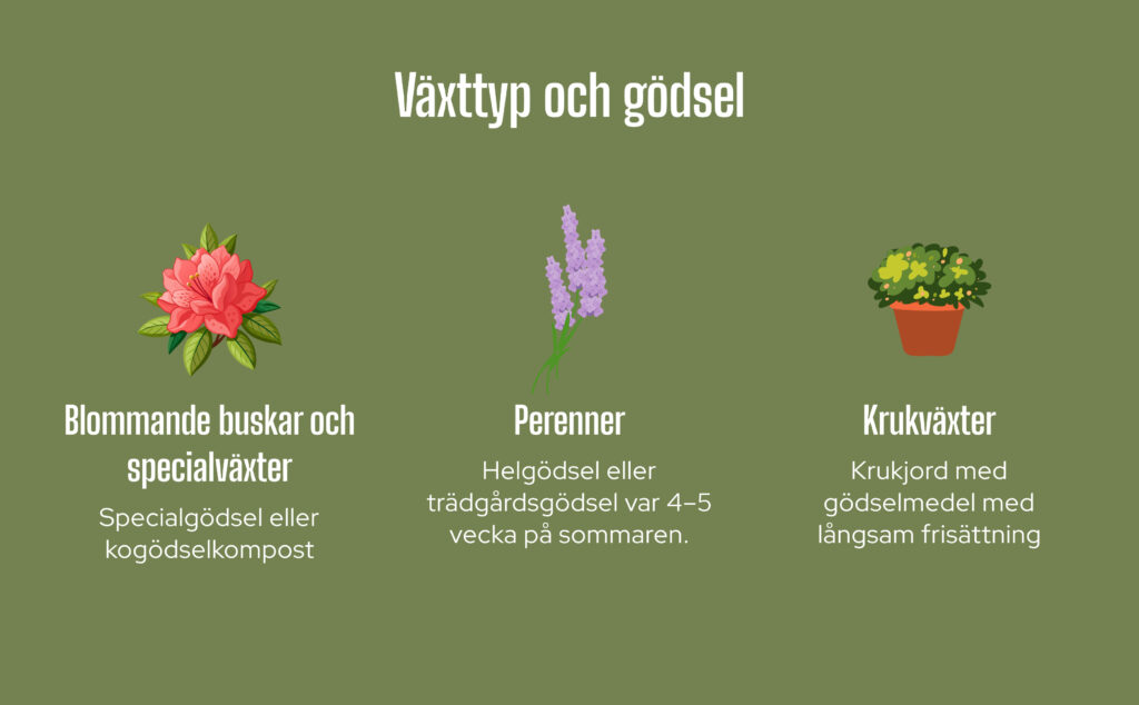 Växttyp och gödsel