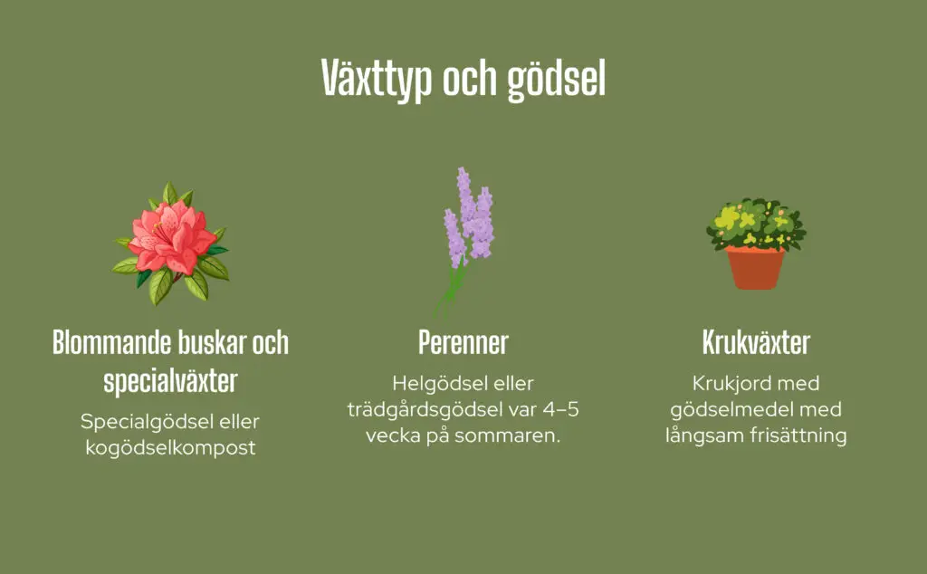 Växttyp och gödsel