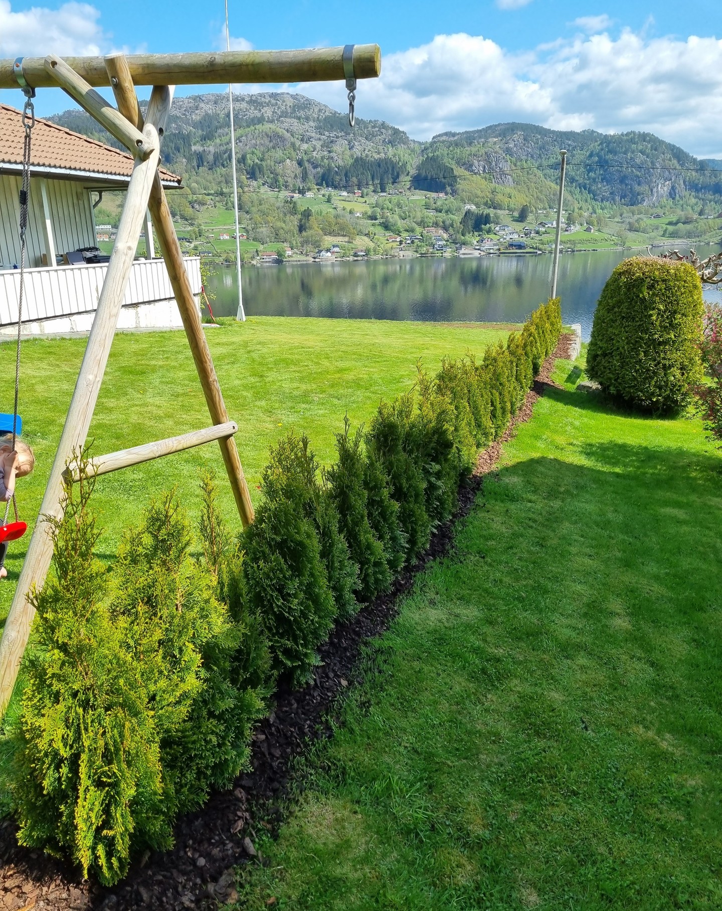 Leverans av häckplantor på pall